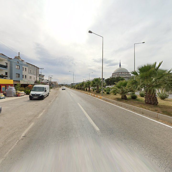 Fotoğraf 8