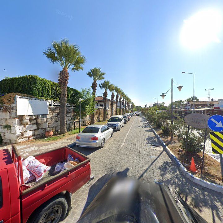Fotoğraf 14