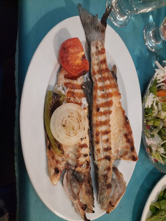 Fotoğraf 9