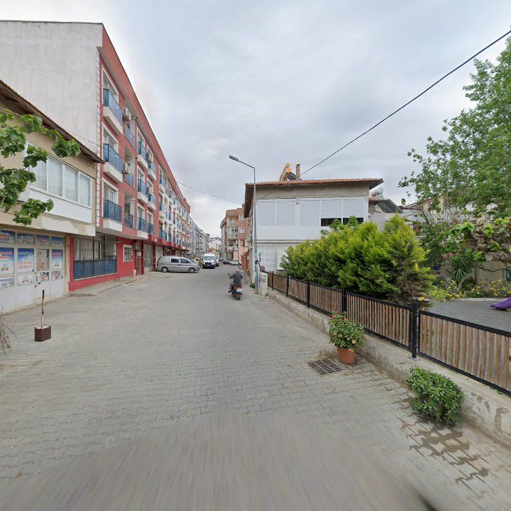 Fotoğraf 7