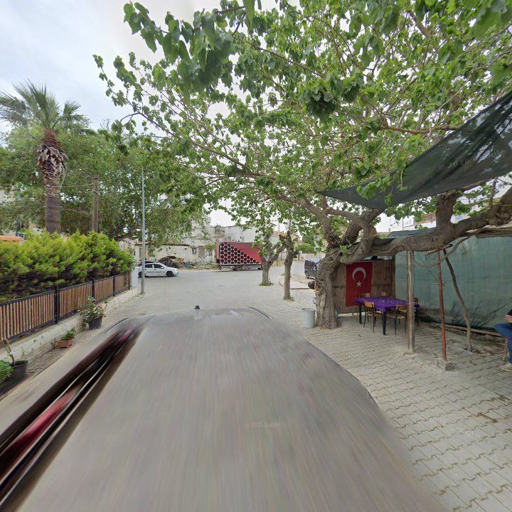 Fotoğraf 9