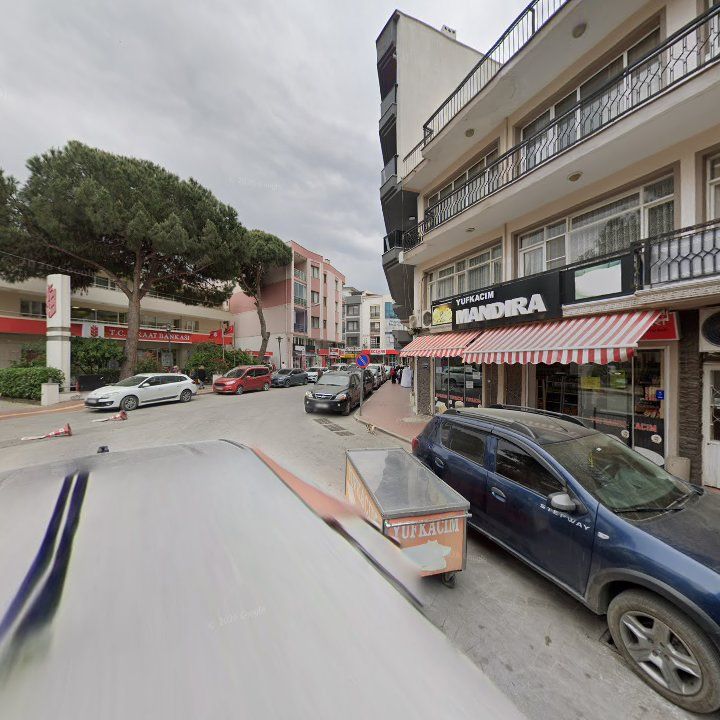 Fotoğraf 8