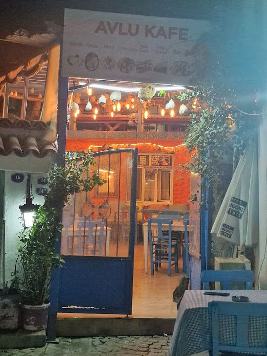 Avluda Balık