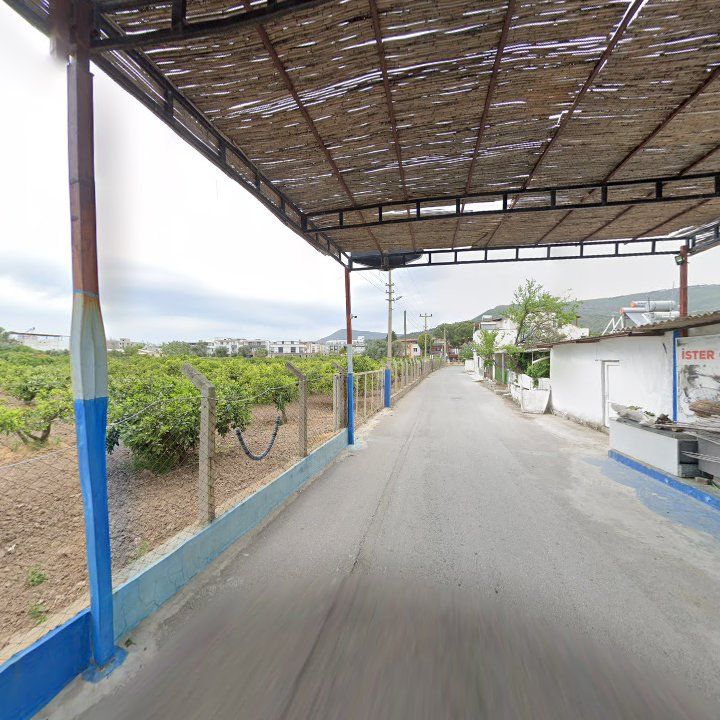Fotoğraf 10