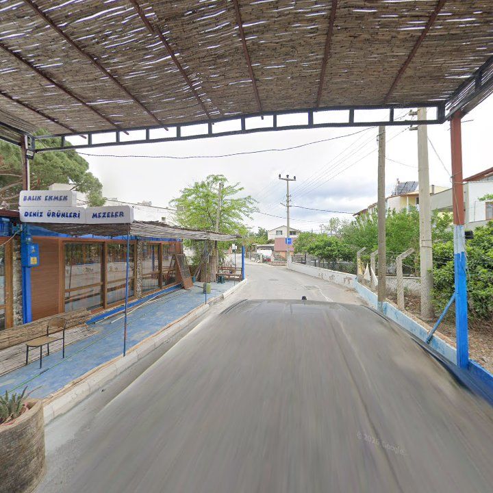 Fotoğraf 8