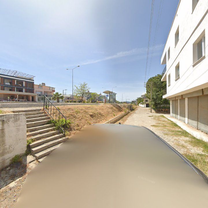 Fotoğraf 11