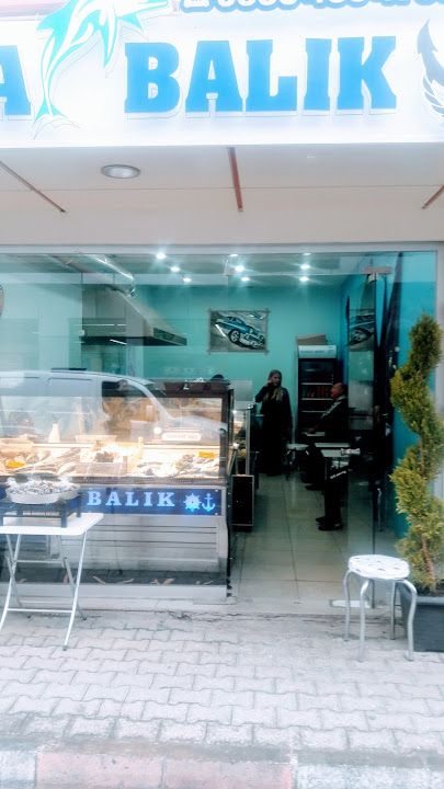 Çapa balık pişıricisi