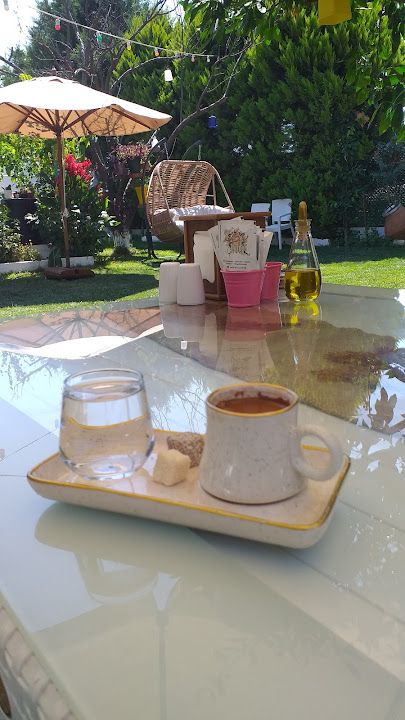 Çiftlik evi köy evi