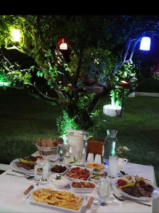 Fotoğraf 30