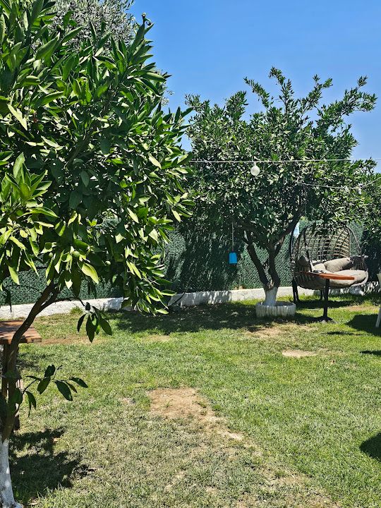 Yorum fotoğrafı 4