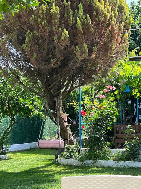 Fotoğraf 24