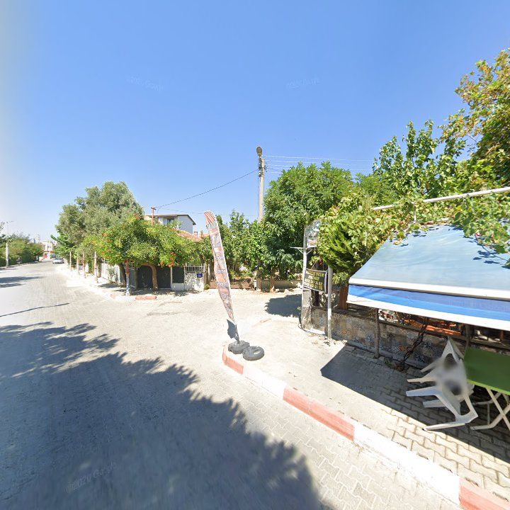 Fotoğraf 10