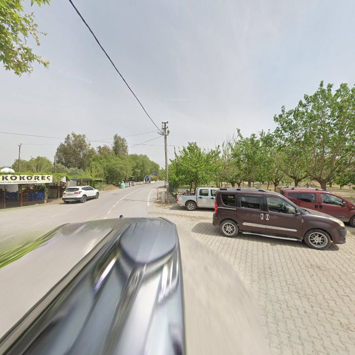 Fotoğraf 6