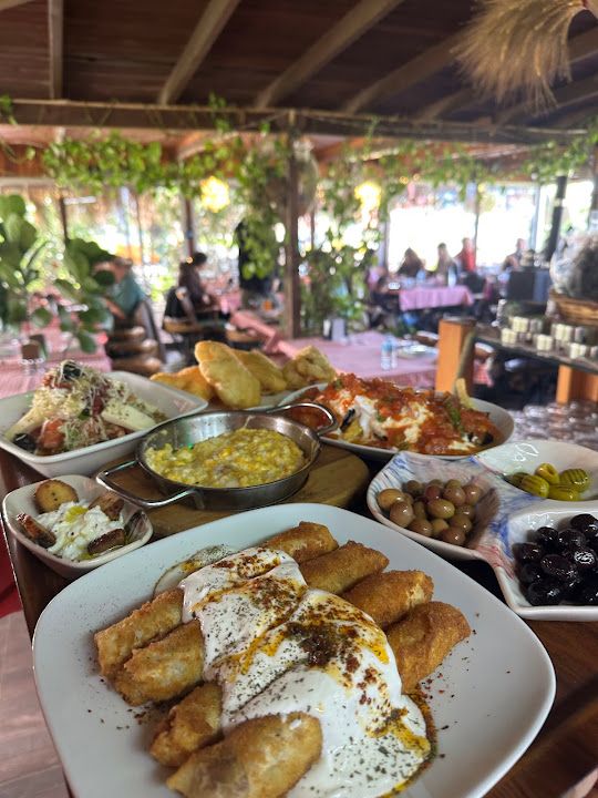 Fotoğraf 7
