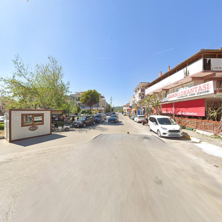 Fotoğraf 7