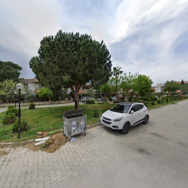 Fotoğraf 8