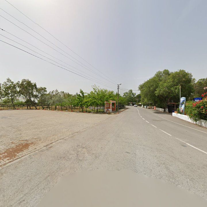 Fotoğraf 9