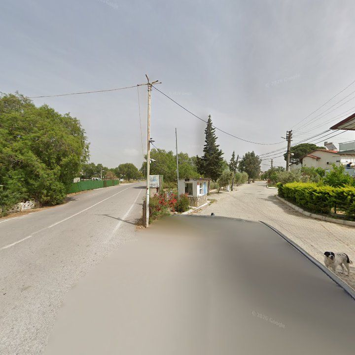Fotoğraf 7