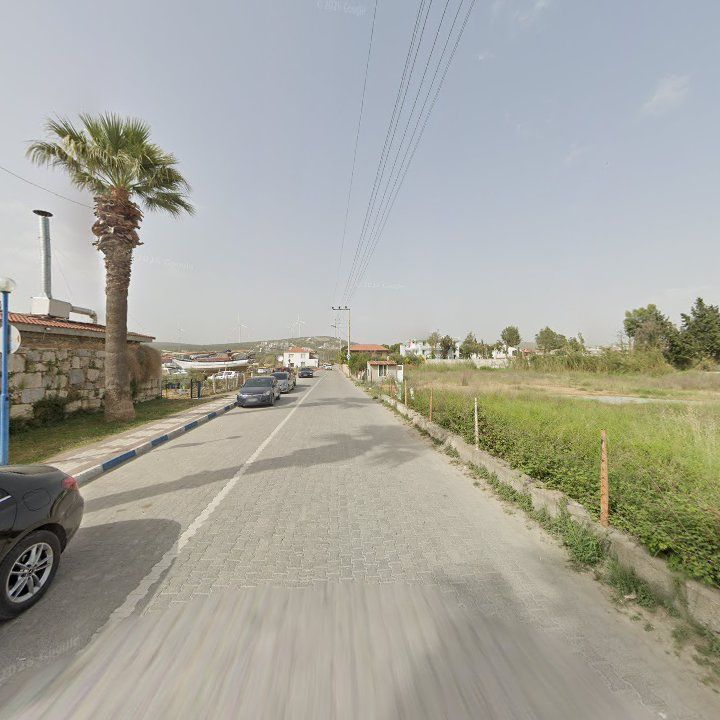 Fotoğraf 8