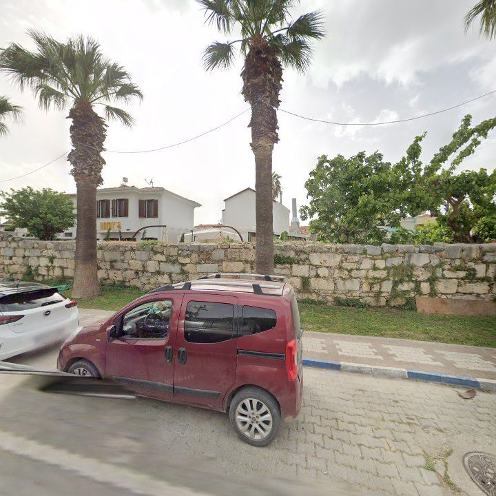 Fotoğraf 7