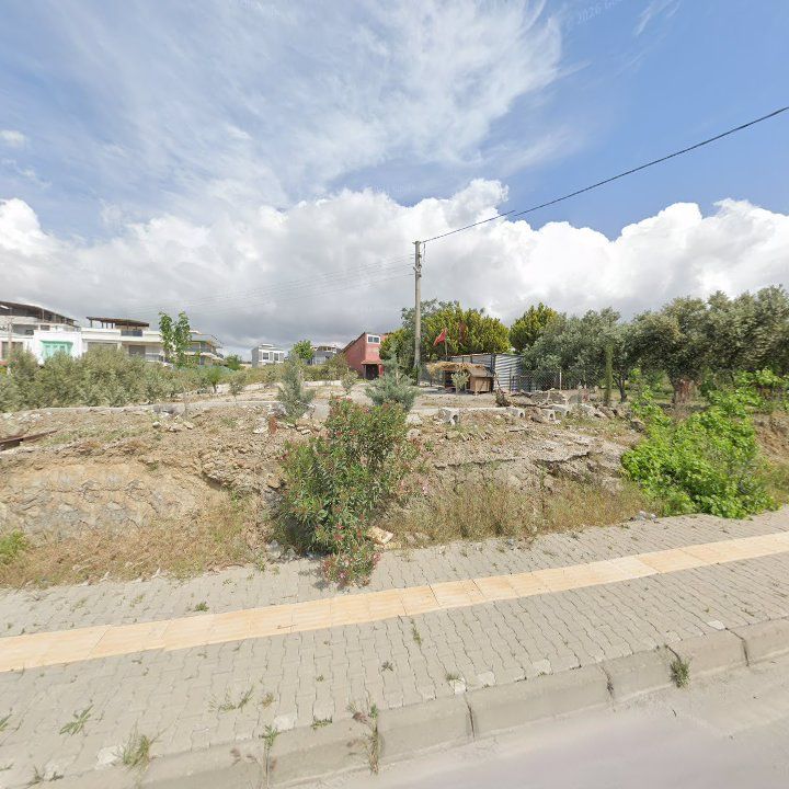 Fotoğraf 2