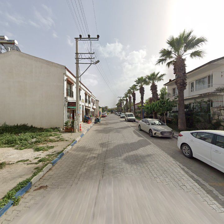 Fotoğraf 10