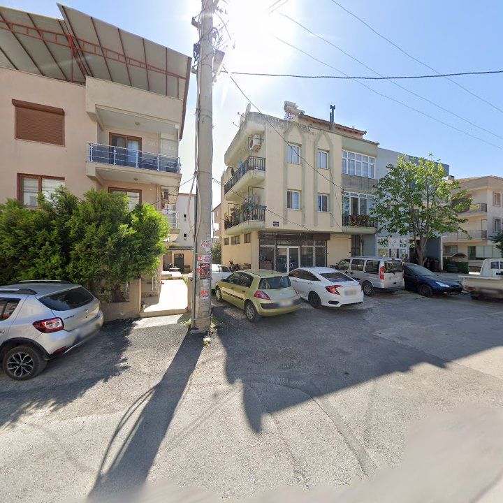 Fotoğraf 11