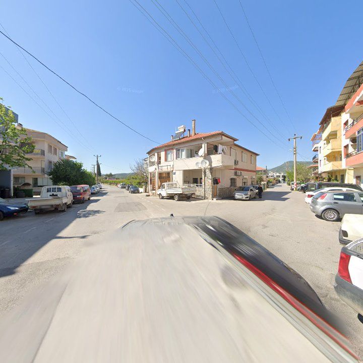 Fotoğraf 12
