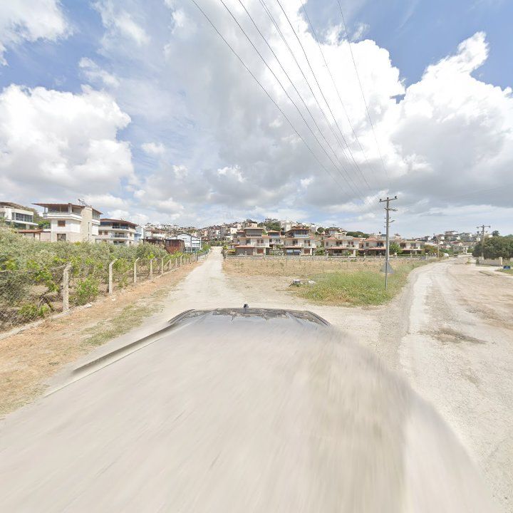 Fotoğraf 10