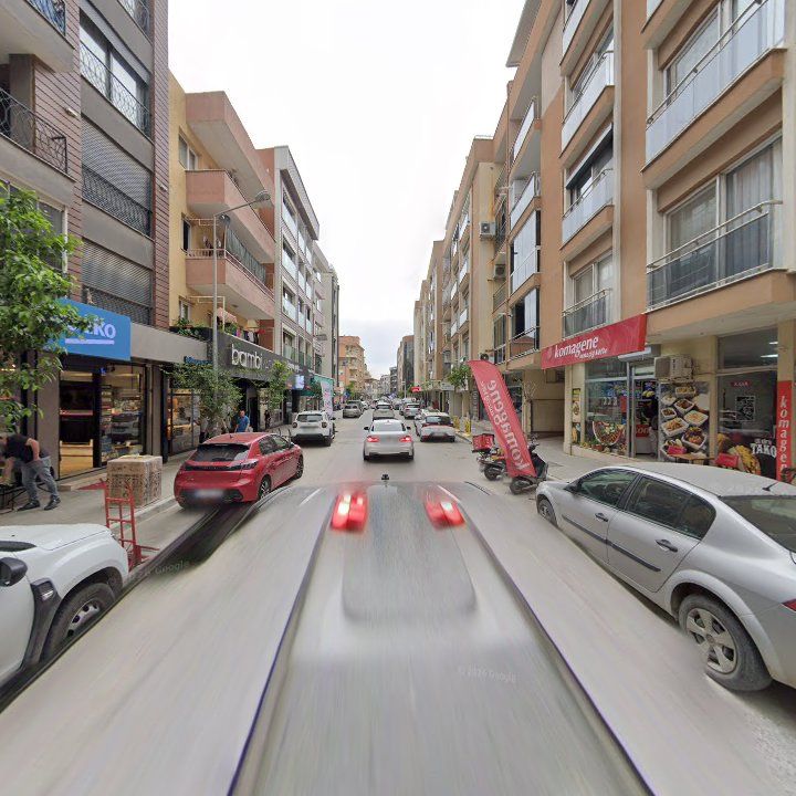 Fotoğraf 11