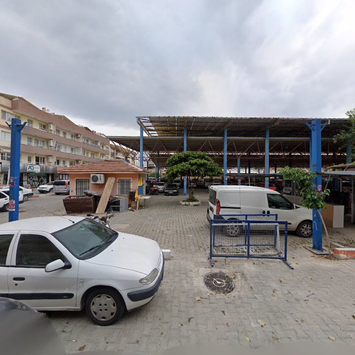 Fotoğraf 3