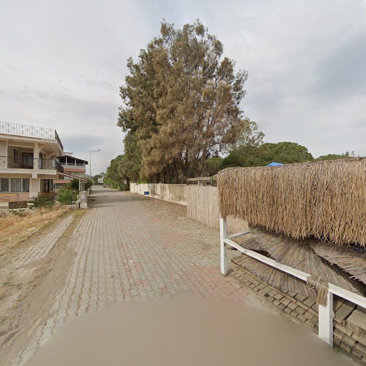 Fotoğraf 10