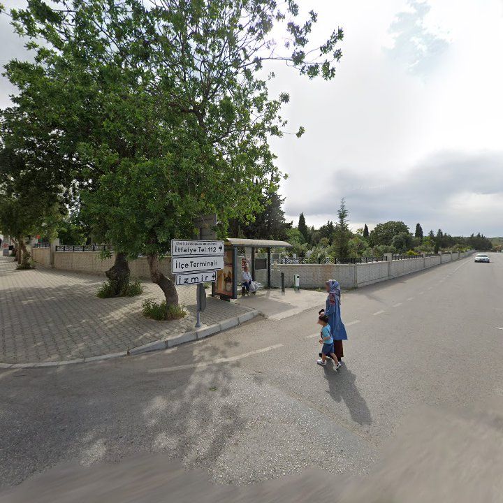 Fotoğraf 8