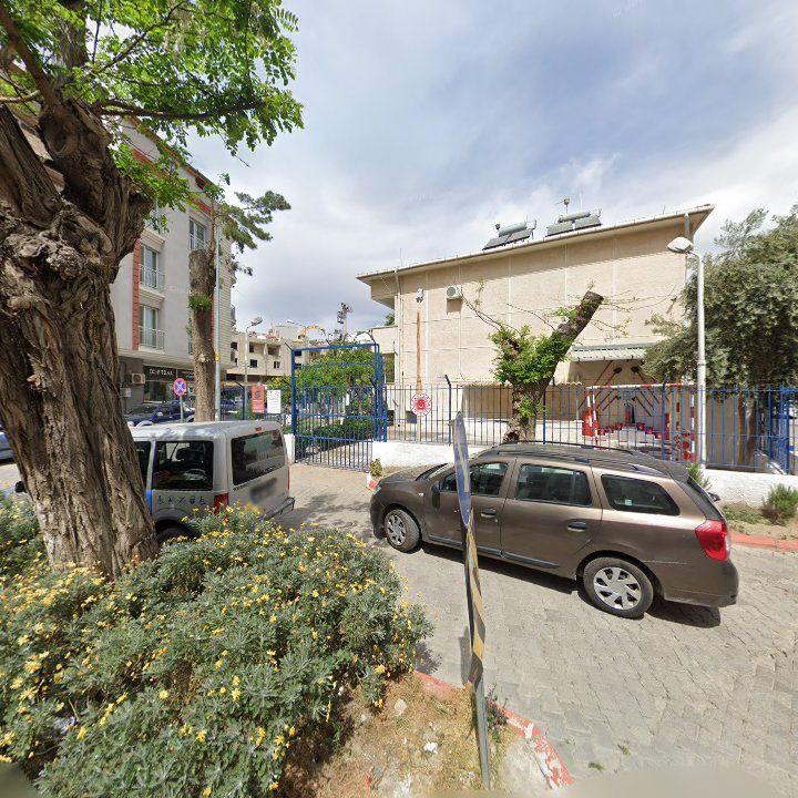 Fotoğraf 10