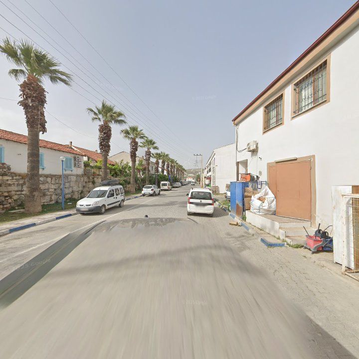 Fotoğraf 9