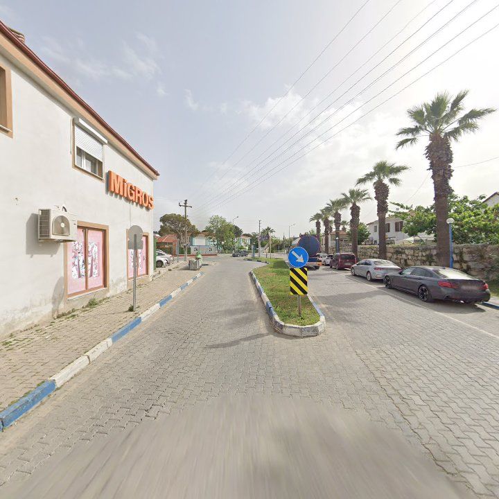Fotoğraf 11