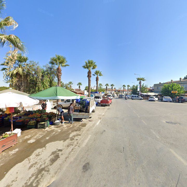 Fotoğraf 8
