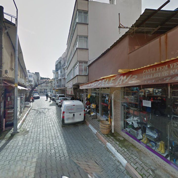 Fotoğraf 7