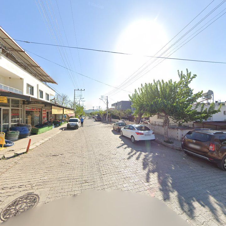 Fotoğraf 8