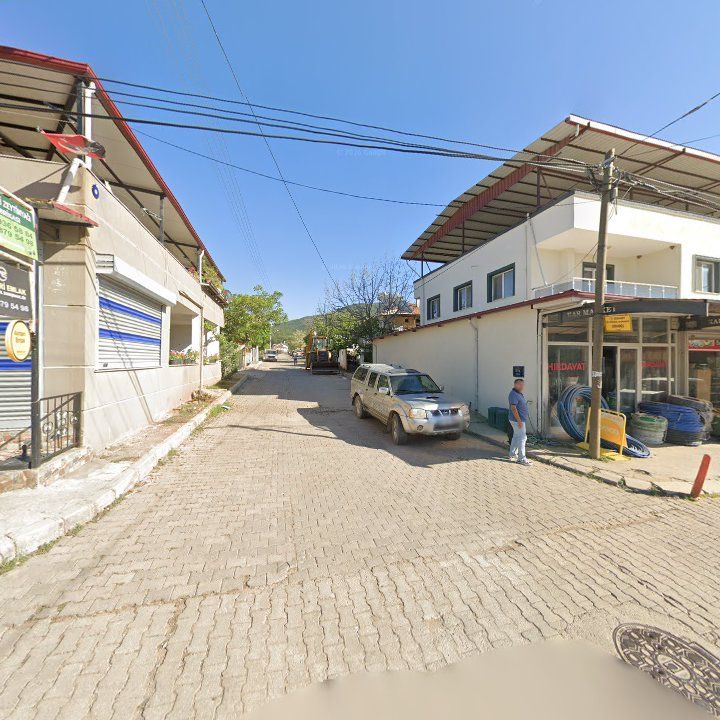 Fotoğraf 7