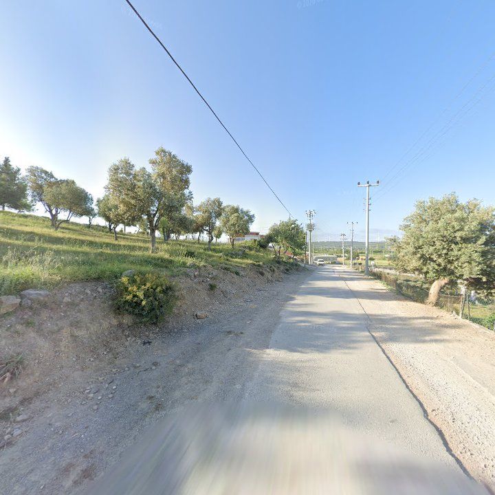 Fotoğraf 11