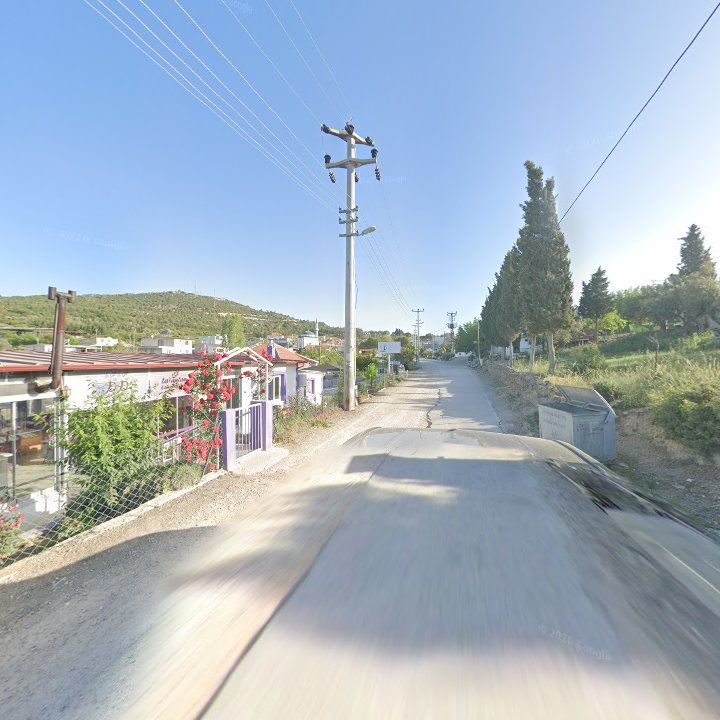 Fotoğraf 9