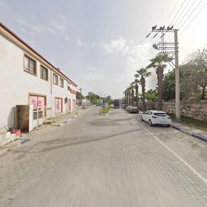 Fotoğraf 10