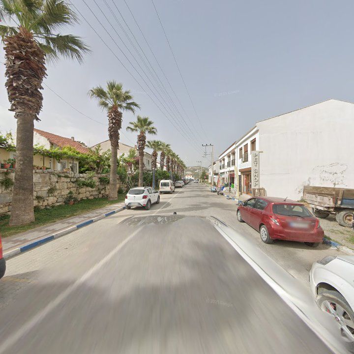 Fotoğraf 8