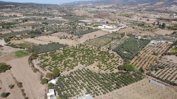 Mandalina Ekolojik Tarım Turizmi Yerleşkesi