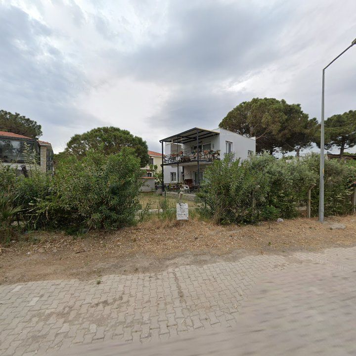 Fotoğraf 8