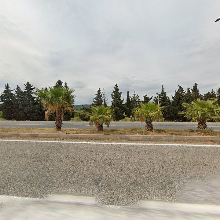 Fotoğraf 10