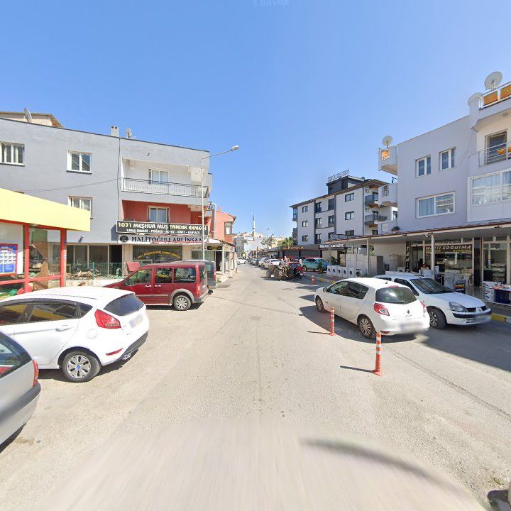 Fotoğraf 8