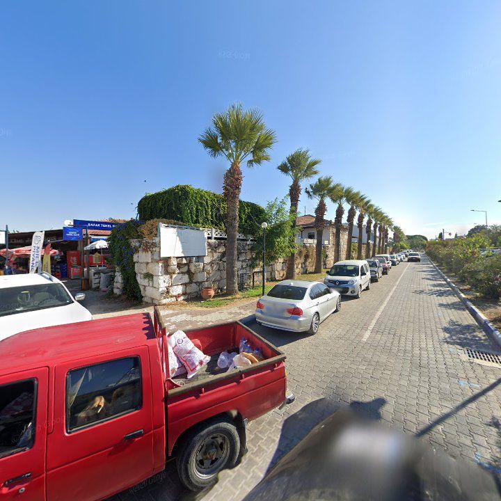 Fotoğraf 7