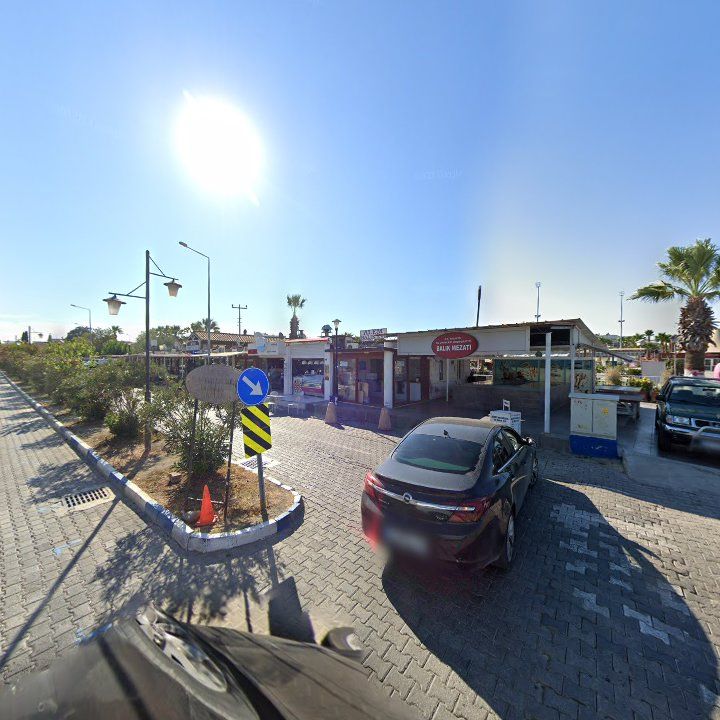 Fotoğraf 8